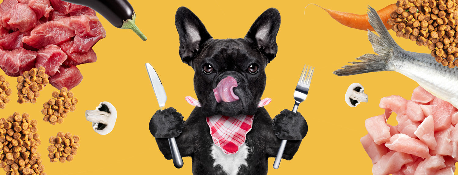 Take your dog's kibble to the next level