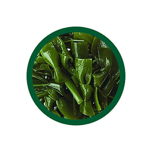 Chomper dog dental supplement ingredients kelp seaweed