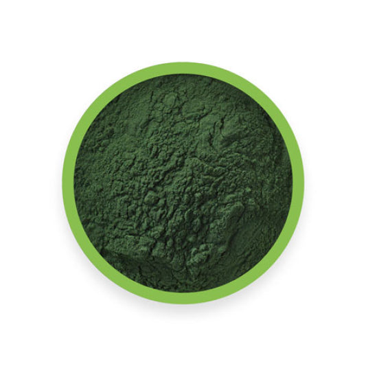 CHLORELLA