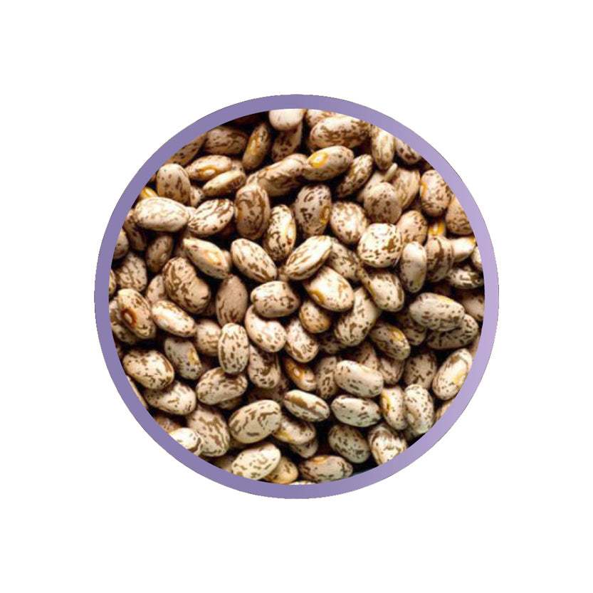 BEANS