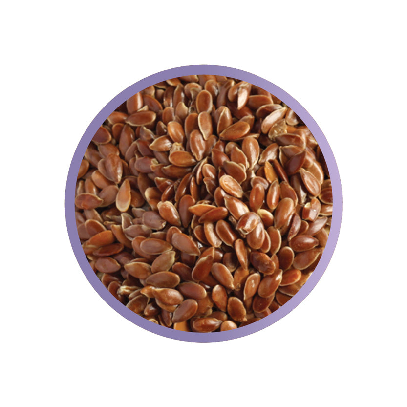 SEEDS