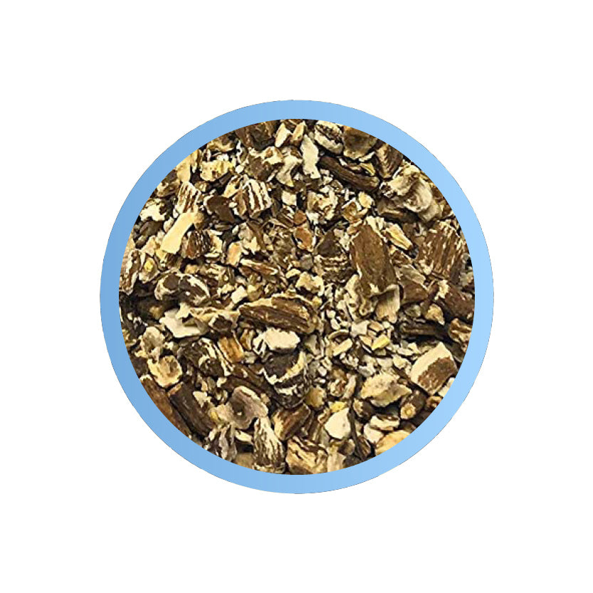 DANDELION ROOT