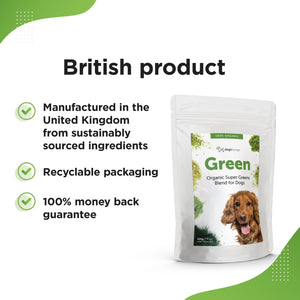GREEN – Organic Super Greens Supplement for Dogs and Puppies