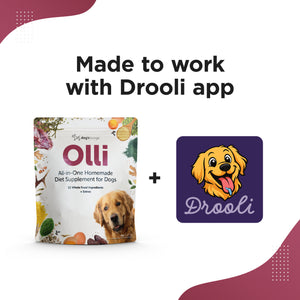 OLLI – All-in-One Homemade Diet Supplement for Dogs
