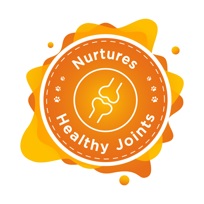 dog healthy joints