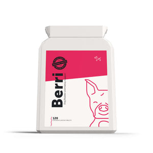UTI Supplement for Dogs | Dog's Lounge 