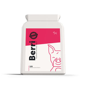 UTI Supplement for Dogs | Dog's Lounge