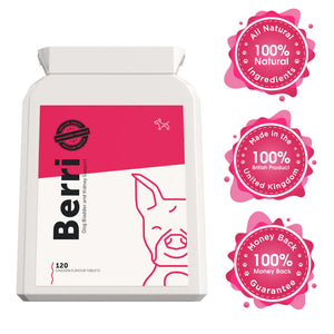 UTI Supplement for Dogs | Dog's Lounge
