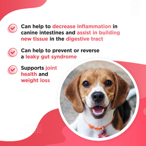 BROTHY – Dehydrated Bone Broth for Dogs