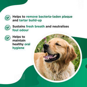 Plaque Remover for Dogs