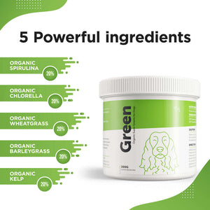 Super Greens Supplement for Dogs and Puppies