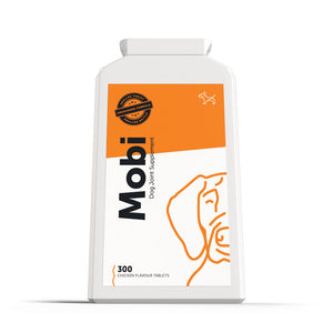 dog supplements for joints