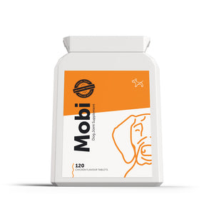 dog supplements for joints