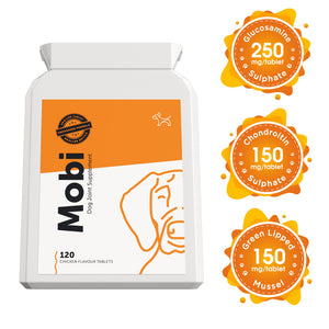 dog supplements for joints