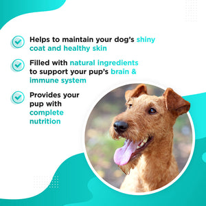 Dog's Lounge Omega 3, 6, 9 Fish Oil Complex for Dogs & Puppies for healthy skin & coat, brain, strong joints