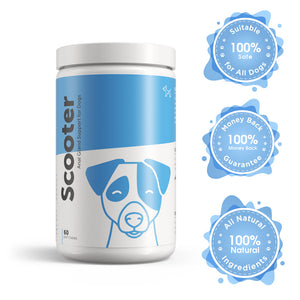 Anal Gland Supplement