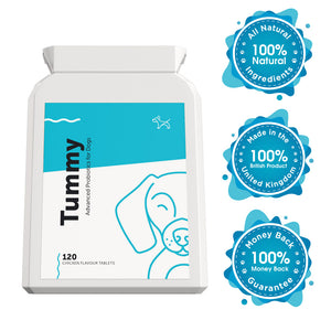 Probiotic and Prebiotic Supplement for Dogs