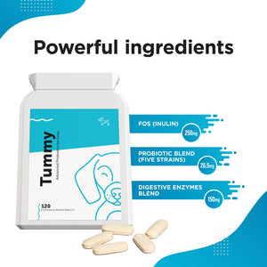 Probiotic and Prebiotic Supplement for Dogs