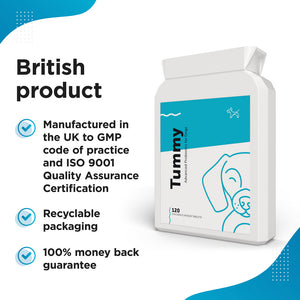Probiotic and Prebiotic Supplement for Dogs