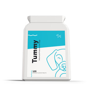 Probiotic and Prebiotic Supplement for Dogs