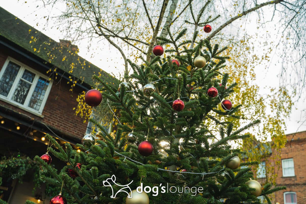 2019 Santa Paws Christmas Fair