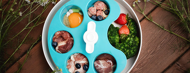 Understanding the Basics of a Balanced Diet