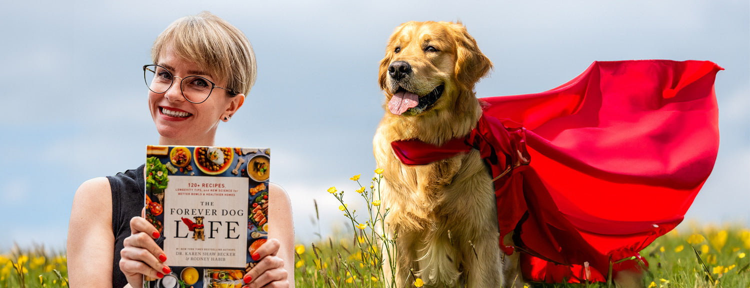 Best Dog Health Book? Why Every Dog Guardian Should Read 'The Forever Dog Life'