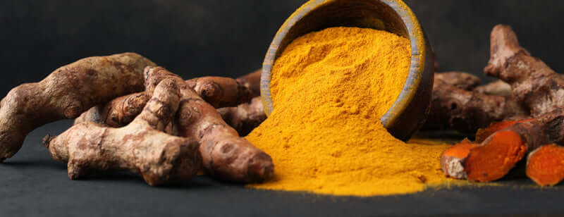 Turmeric for Dogs - All You Need to Know