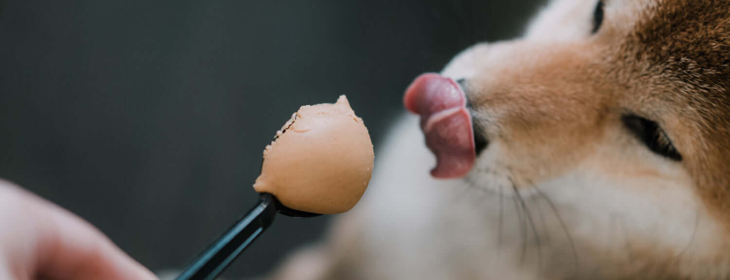 Peanut Butter for Dogs: Safety, Risks, and How to Choose the Right One