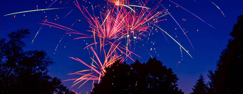 How to Prepare Your Dog for Firework Season