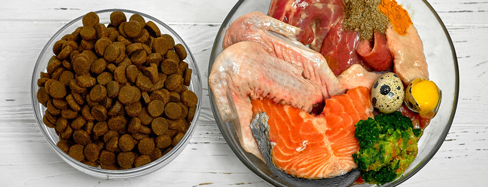 From kibble to raw diet. Dog BARF diet