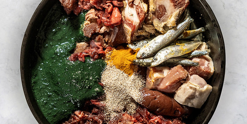 Raw Lamb & Venison Bowl for Puppies