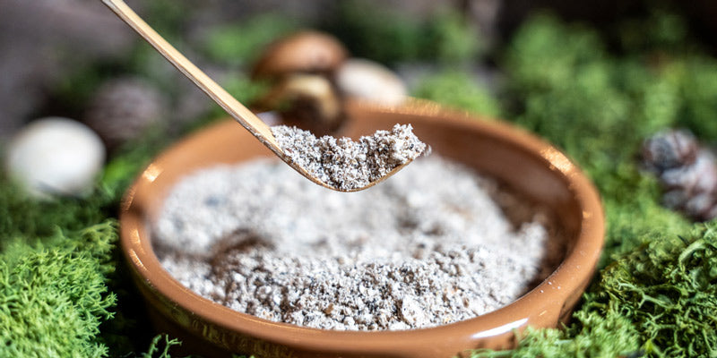 Homemade Mushroom Powder for Dogs