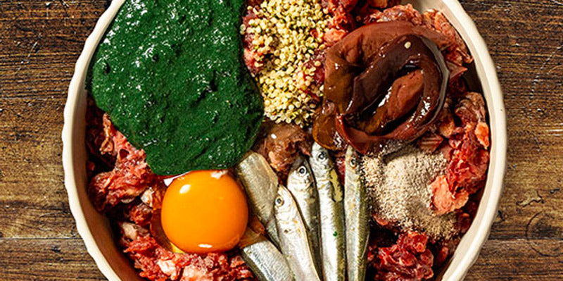 Raw Horse Dinner Bowl for Puppies