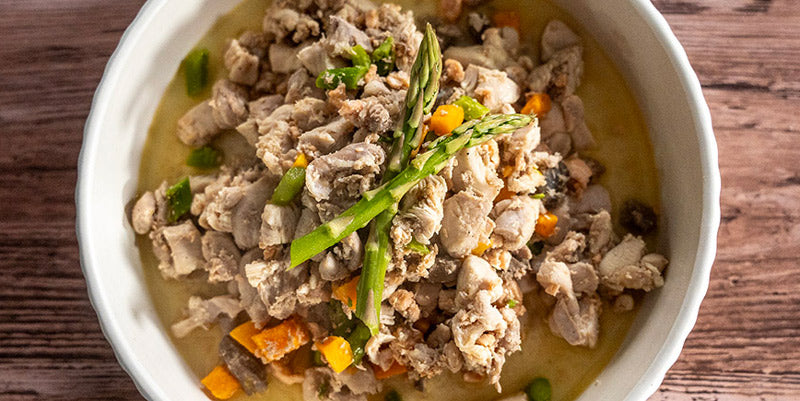 Salmon & Chicken Stew for Puppies