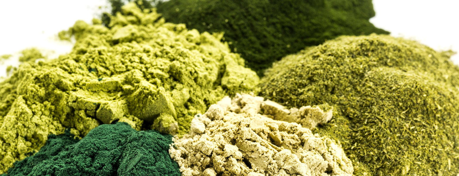 Should I Start Adding Super Greens to My Dog’s Diet?
