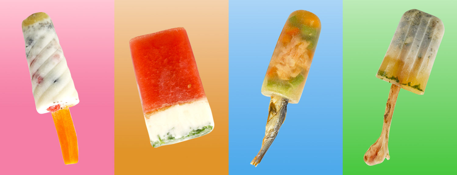 DIY Frozen Dog Treats Your Pup Will Love