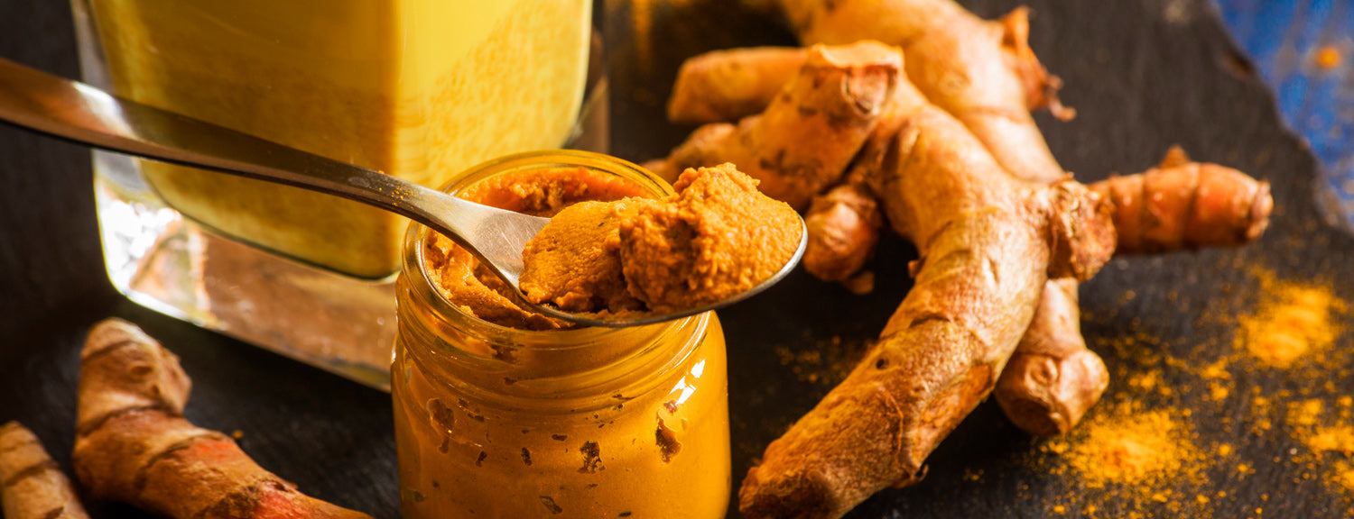 Turmeric Golden Paste For Dogs - Healing Benefits & Full Recipe