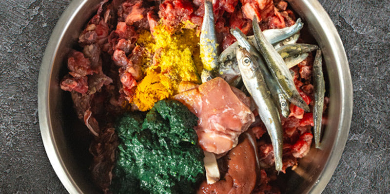 Raw Venison Meal for Adult Dogs