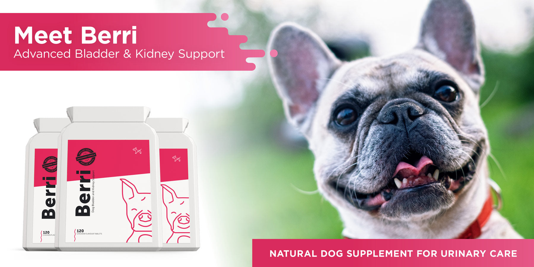 Berri advanced bladder and kidney supplement tablets for dogs suffering from urinary tract infections