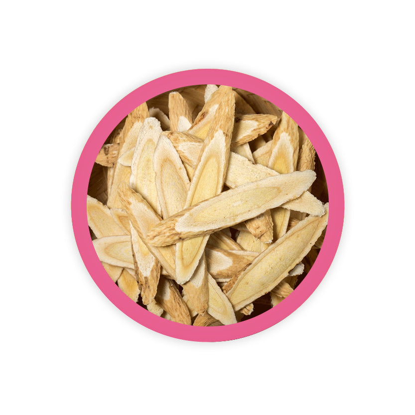 ASTRAGALUS ROOT
