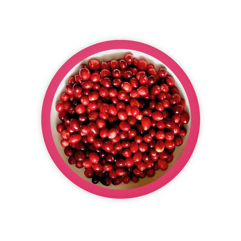 CRANBERRY POWDER