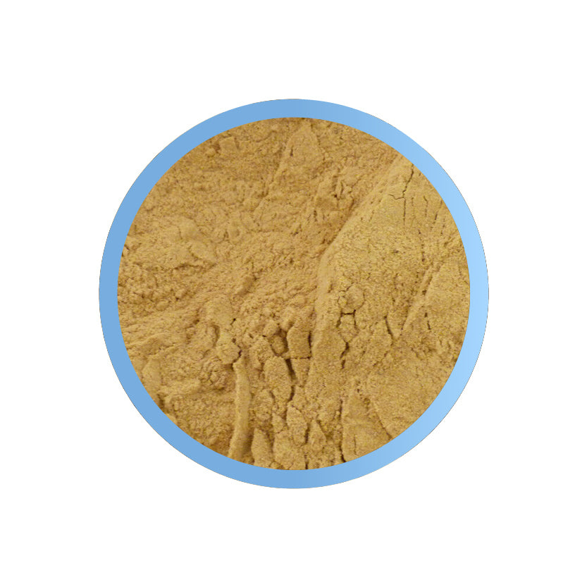 brewer's yeast powder natural probiotic