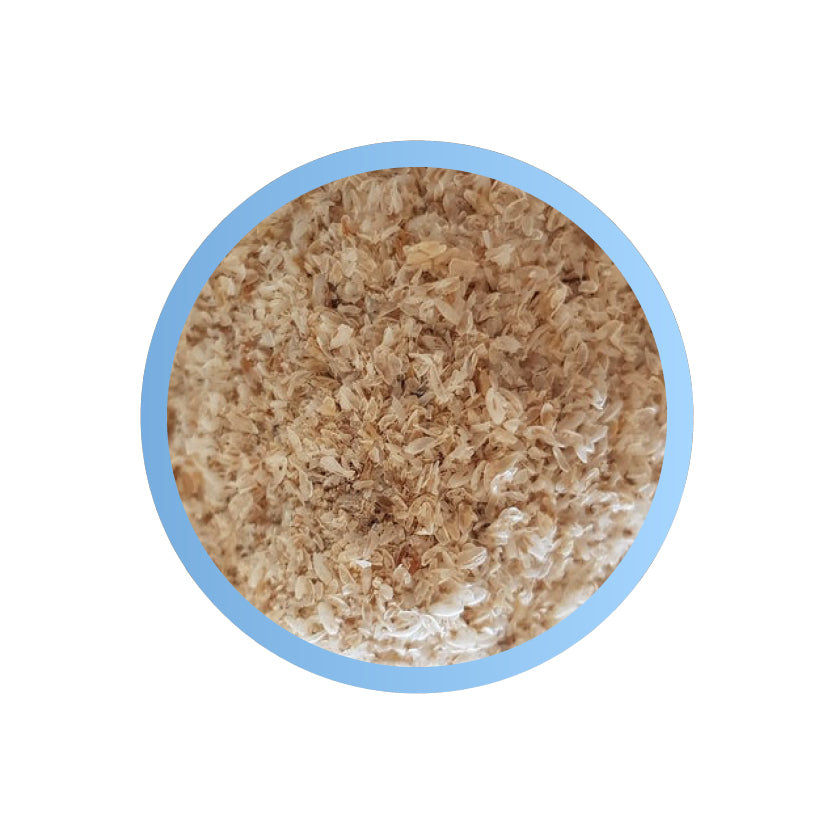 PSYLLIUM HUSK