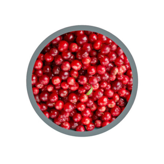 CRANBERRY EXTRACT