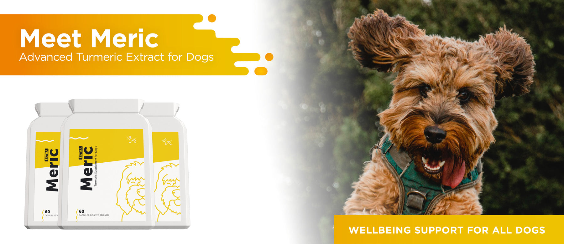 meric turmeric supplement for dogs