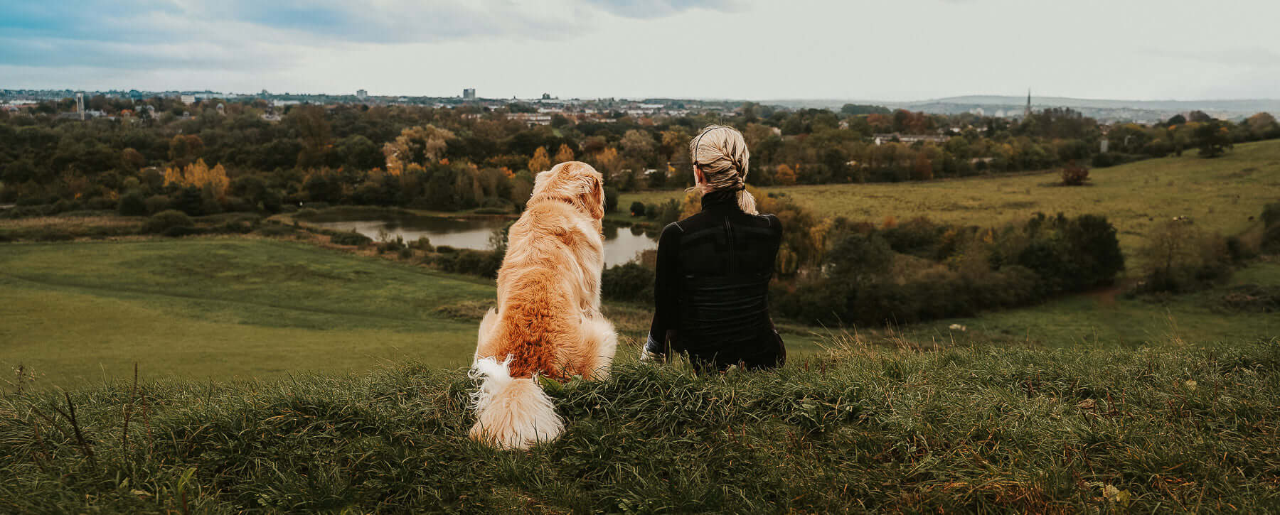 Golden Retriever with the female owner looking over the bog field and a lake.
