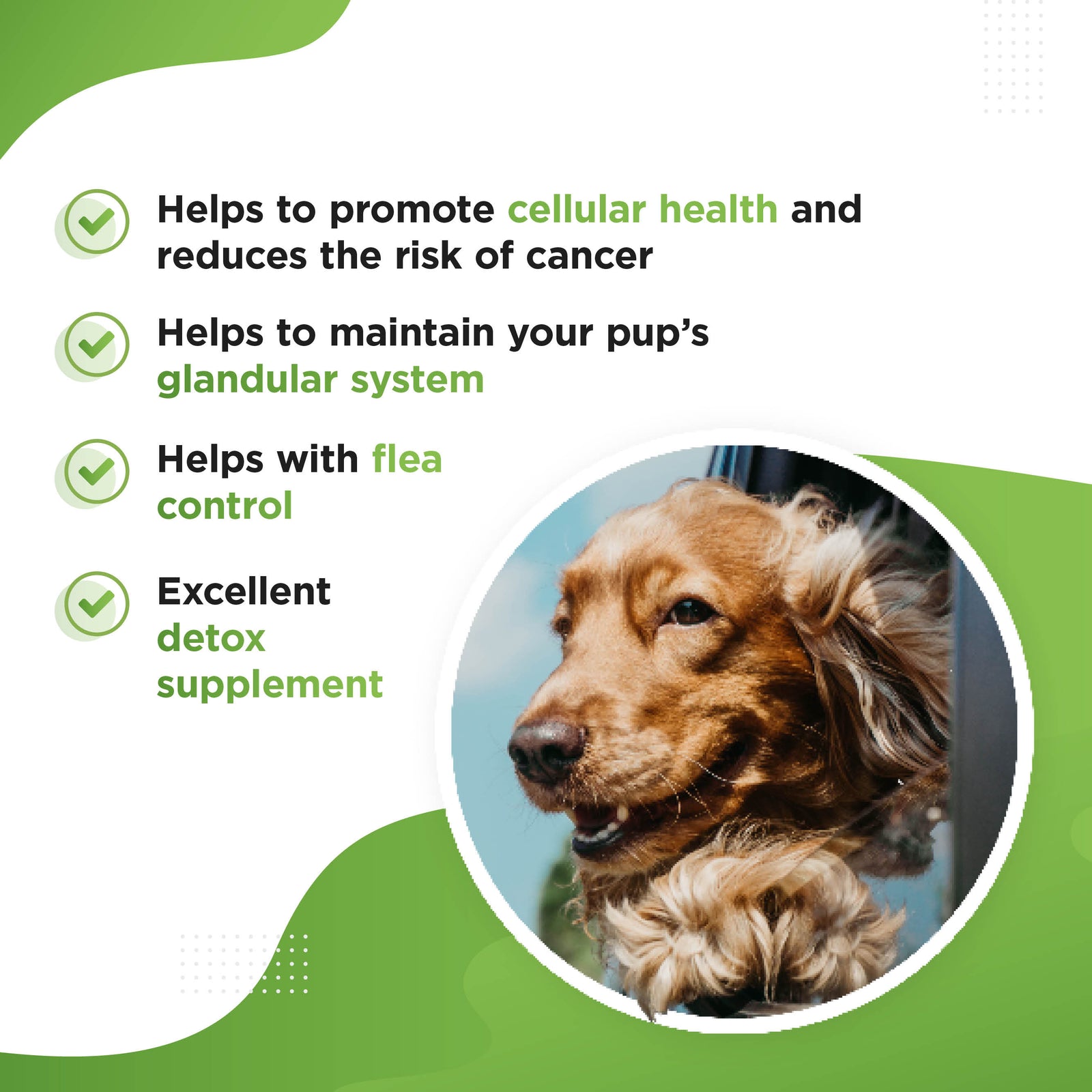 GREEN – Organic Super Greens Supplement for Dogs and Puppies
