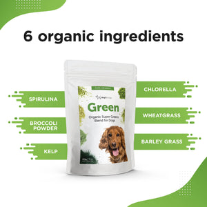 GREEN – Organic Super Greens Supplement for Dogs and Puppies