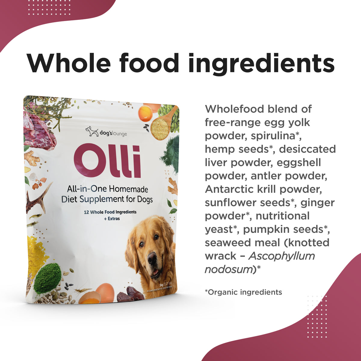 OLLI – All-in-One Homemade Diet Supplement for Dogs